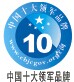 中国十大领军品牌